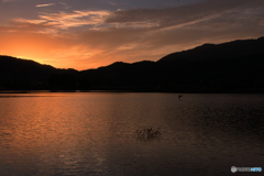 秋の夕暮れ（広沢池）