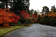 2016秋景色4（紅葉　修学院離宮4）