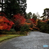 2016秋景色4（紅葉　修学院離宮4）