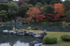 紅葉・天龍寺1