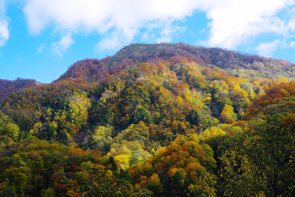 刈込池の紅葉4（2022年紅葉）