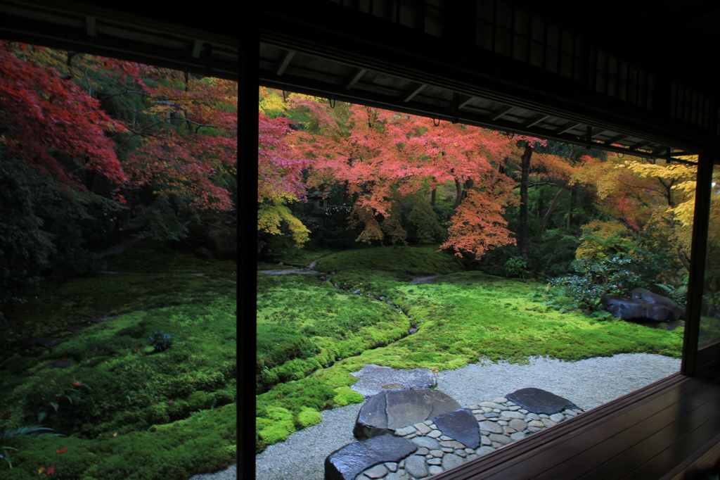 2014紅葉・瑠璃光院⑤（書院１Fからの瑠璃の庭　1）