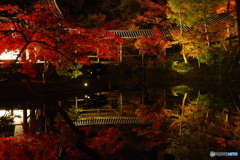 2018紅葉（高台寺ライトアップ1）