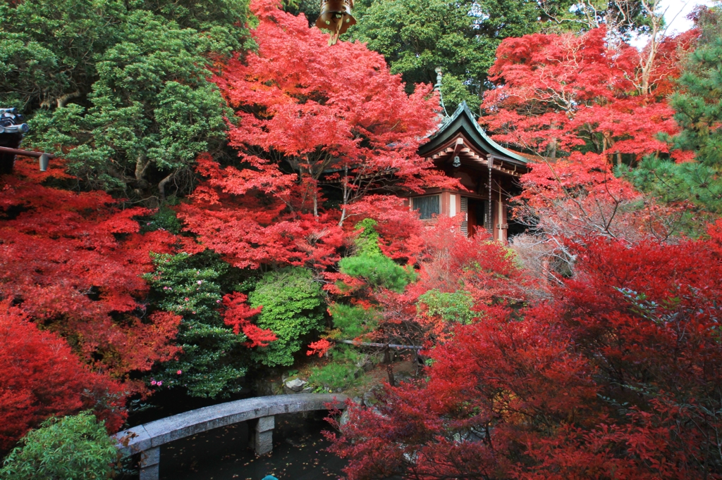 紅葉・毘沙門堂③（弁天堂）