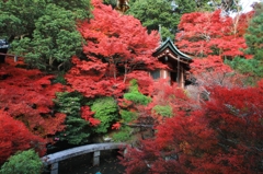 紅葉・毘沙門堂③（弁天堂）