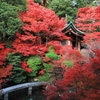 紅葉・毘沙門堂③（弁天堂）