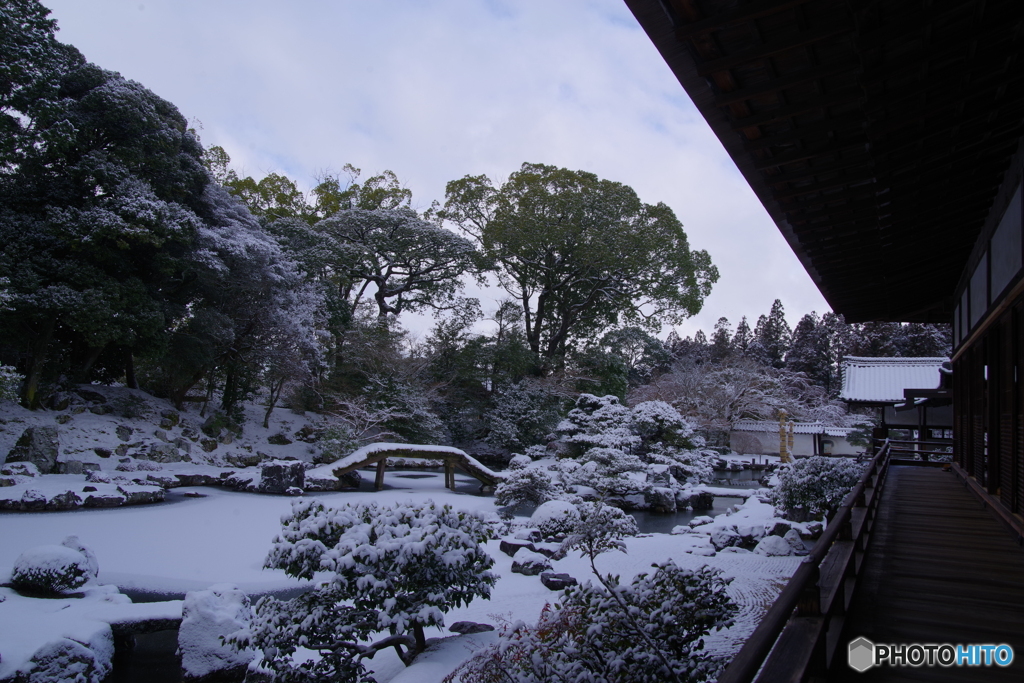 雪景2025・醍醐寺（三宝院・純浄観回廊より三宝院庭園を望む）