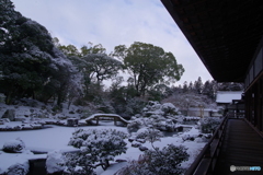 雪景2025・醍醐寺（三宝院・純浄観回廊より三宝院庭園を望む）