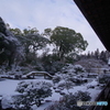 雪景2025・醍醐寺（三宝院・純浄観回廊より三宝院庭園を望む）