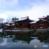2017京雪景1（平等院4）
