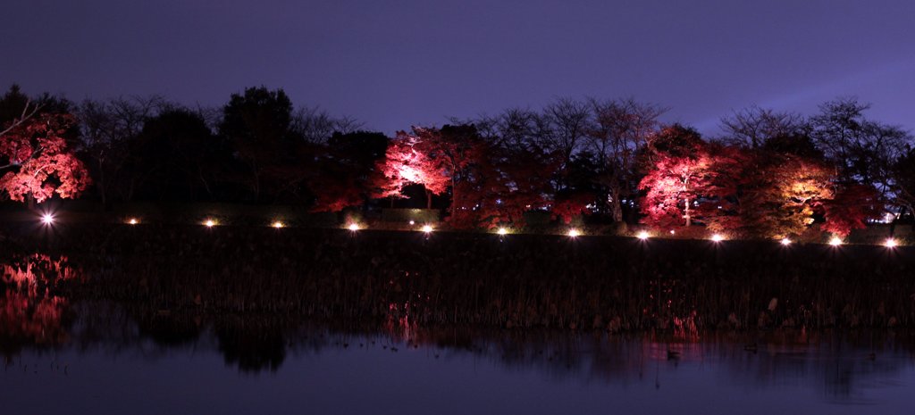 大覚寺の夜