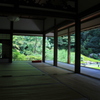 青蓮院