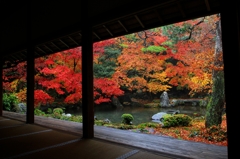 紅葉・蓮華寺1