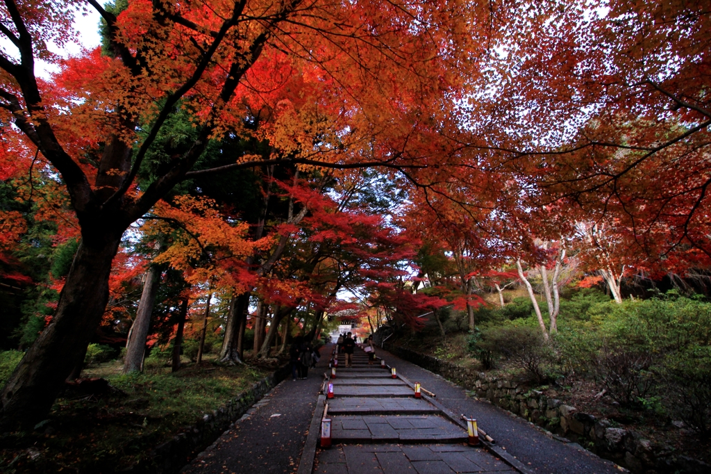 紅葉・毘沙門堂①（勅使門への参道）