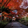 紅葉・毘沙門堂①（勅使門への参道）
