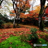 2016秋景色4（紅葉　修学院離宮3）
