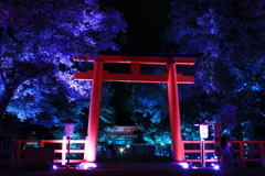 糺の森の光の祭2（南口鳥居越しに楼門を望む）