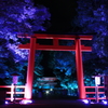 糺の森の光の祭2（南口鳥居越しに楼門を望む）