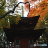 2016秋景色1（横川中堂2 多宝塔　紅葉）
