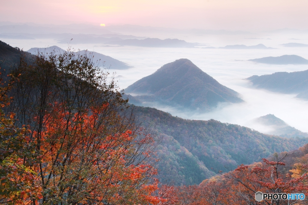2019紅葉（雲海大江山）