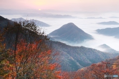 2019紅葉（雲海大江山）