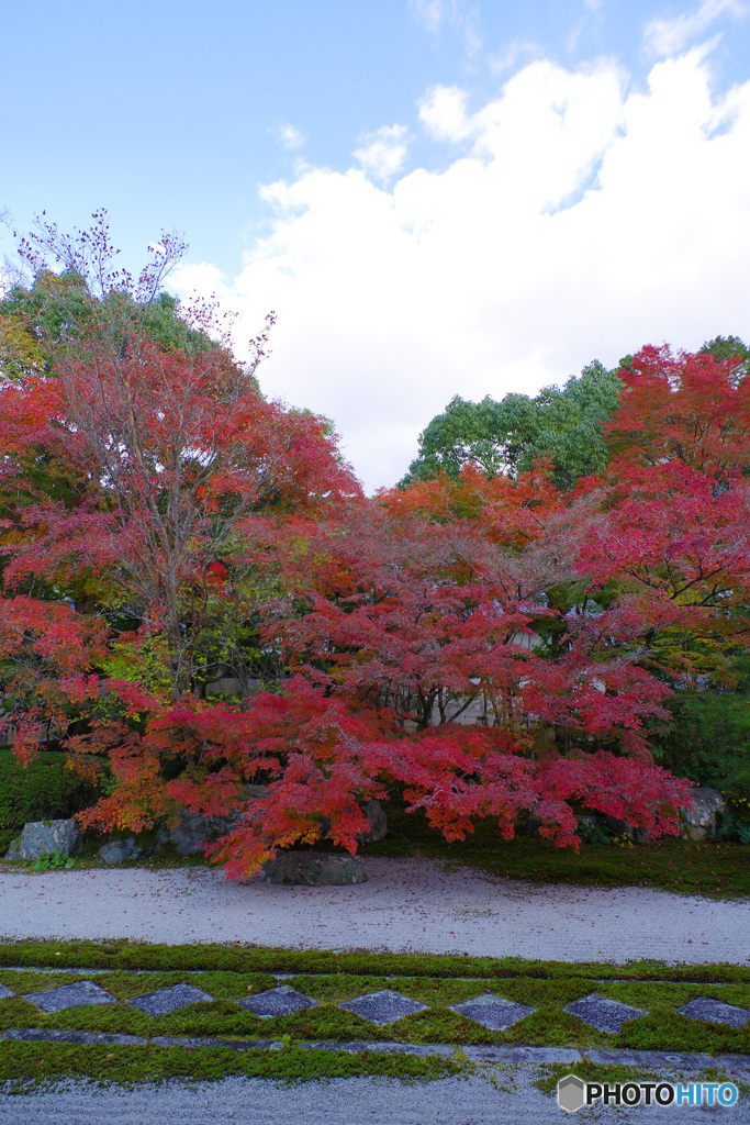 2021京の紅葉（天授庵3）