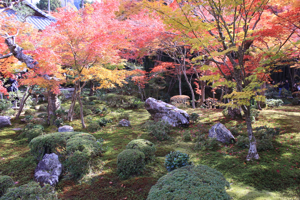 圓光寺1