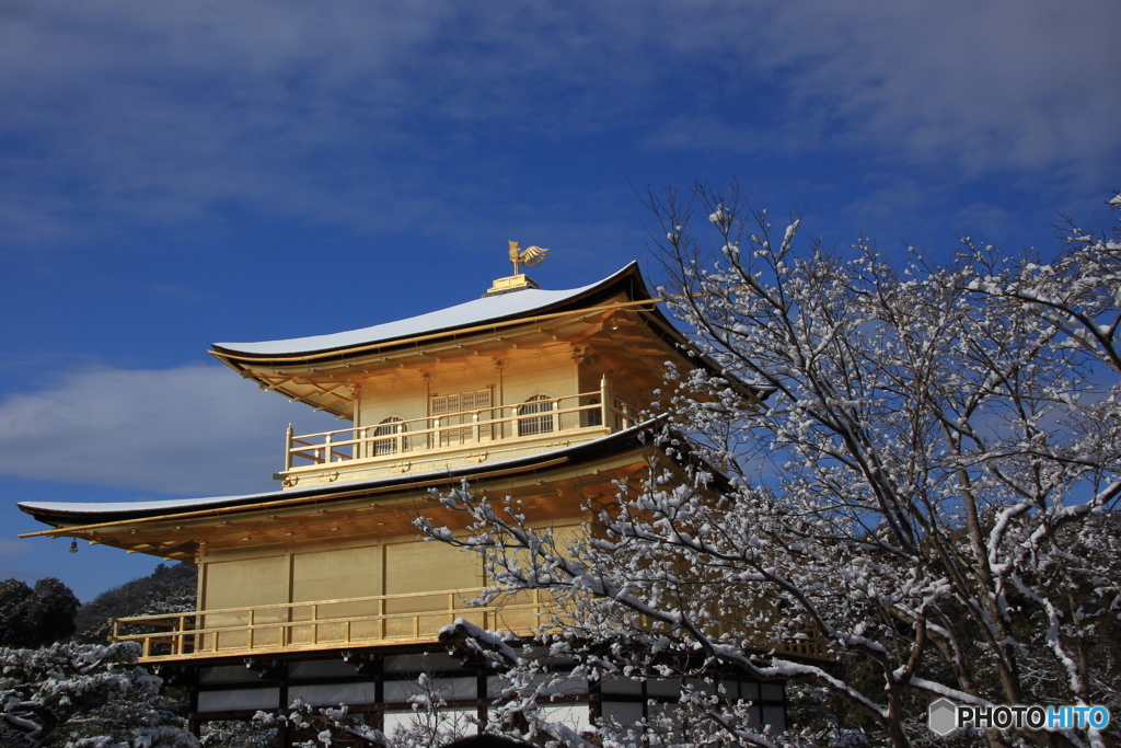 2017京雪景（鹿苑寺金閣6）