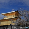 2017京雪景（鹿苑寺金閣6）