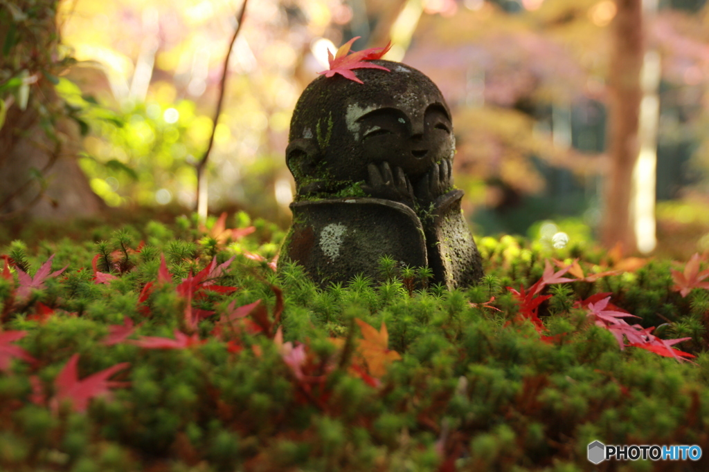 2019紅葉（圓光寺）