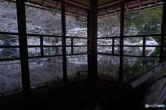 雪景2025・旧竹林院・書院２F