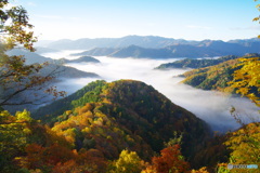 小入谷の雲海（Sea of Cloud and Autumn Leaves)