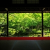 2015　新緑（圓光寺1）