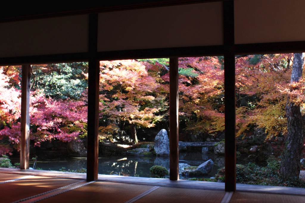 蓮華寺1