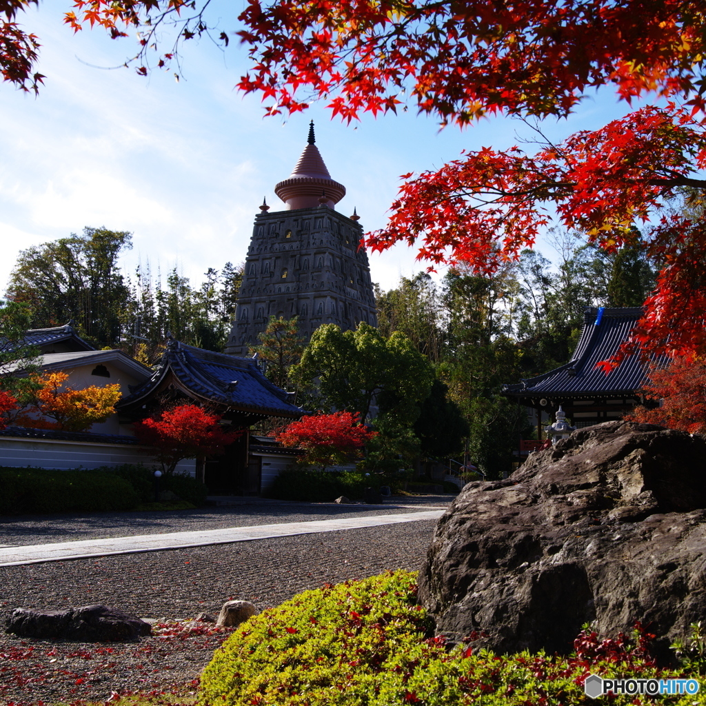 2018紅葉（妙満寺1）