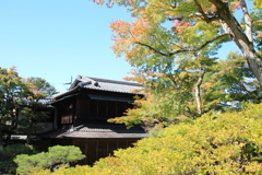 初秋の對流山荘1