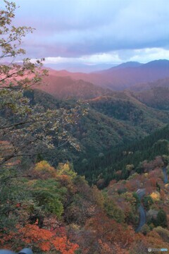 2019紅葉（小入谷2）