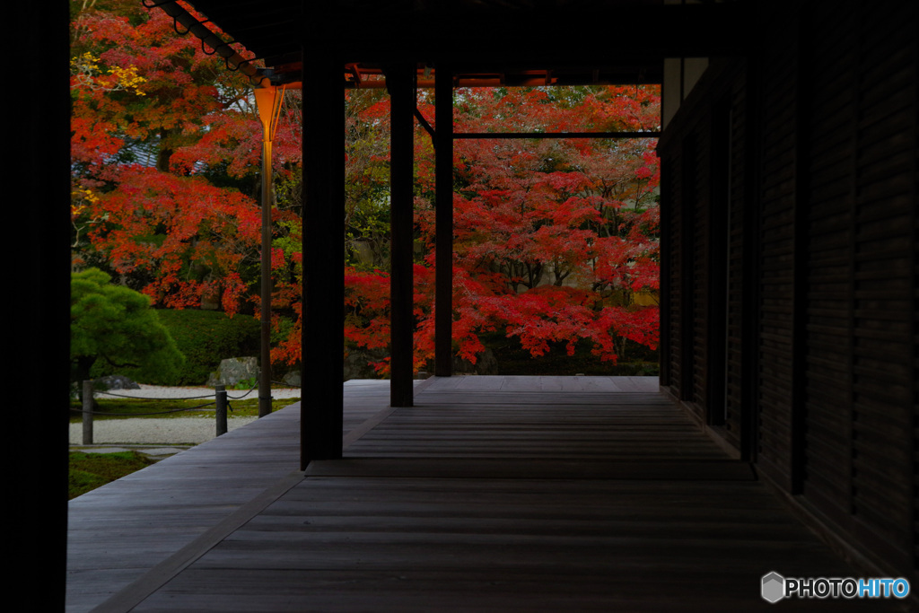 2021京の紅葉（天授庵10）