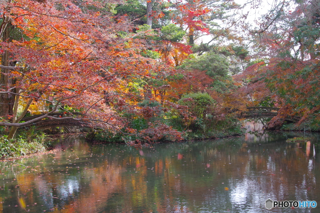 過ぎゆく秋（2020京都紅葉）