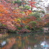 過ぎゆく秋（2020京都紅葉）