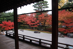 2017秋紅葉（相国寺1 開山堂）