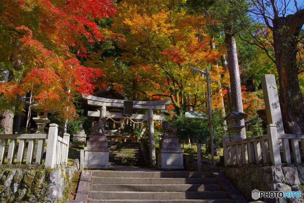 京都北山にて2（2020京都紅葉）