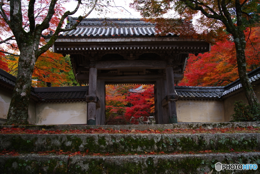 2018紅葉　滋賀県とある寺にて1