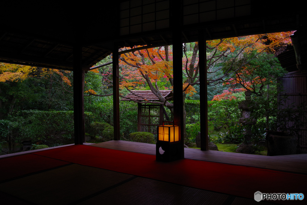 2021京の紅葉（妙心寺・桂春院）