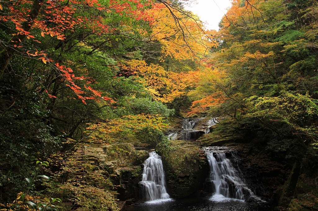 赤目四十八滝・紅葉2（荷担滝2）