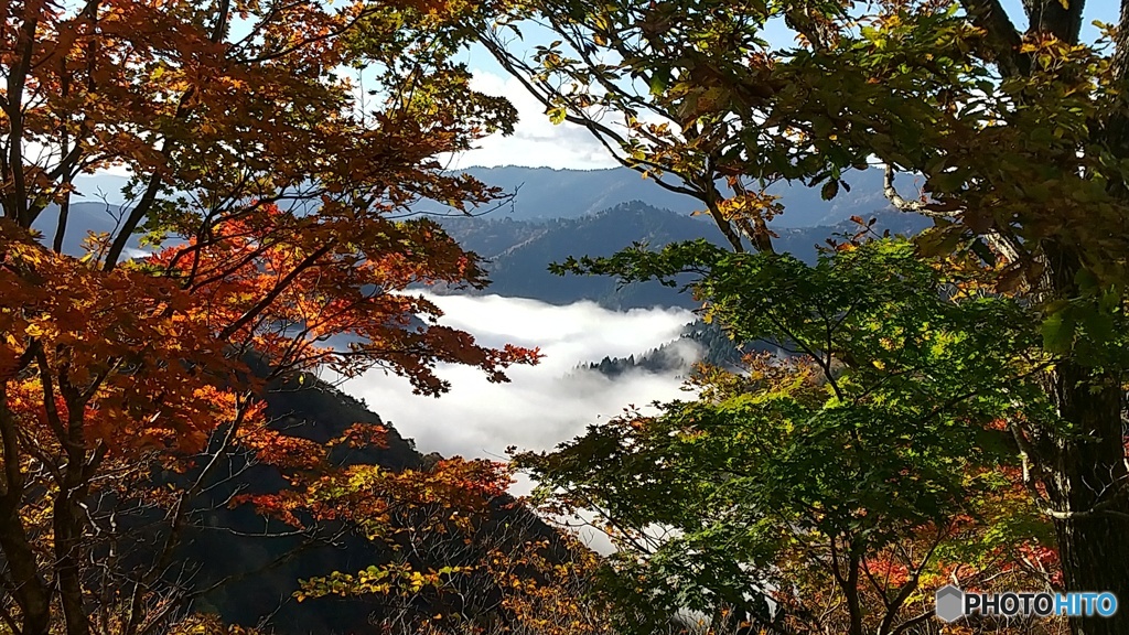 小入谷の雲海（Sea of Cloud and Autumn LeavesⅡ)
