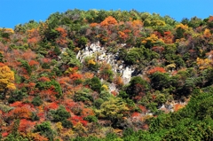 香落渓1（鬼面岩付近）