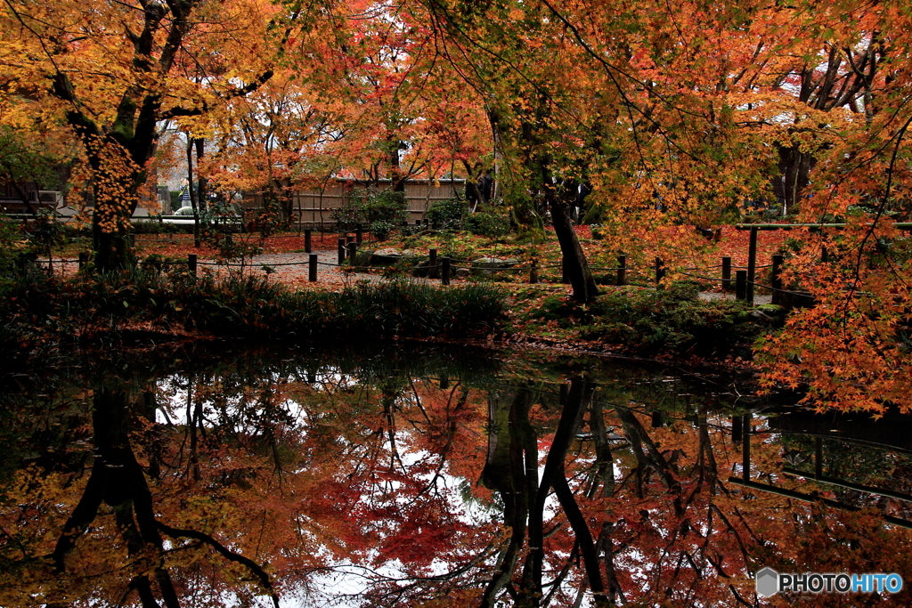 2016秋景色3（紅葉　圓光寺2）　