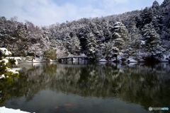 修学院離宮　雪景色（上の茶屋2）