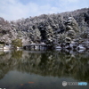 修学院離宮　雪景色（上の茶屋2）